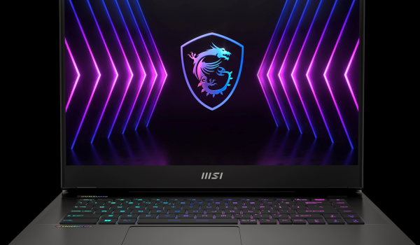 MSI Raider